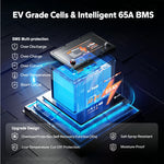 litime 12V 65Ah Lithium wheelchair mobility scooter battery with EV grade cell & 65a bms protection