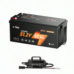 litime 48v 60ah comlex edition golf cart battery kit with 18a lifepo4 battery charger