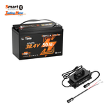 1 pack 36V 50Ah TM bluetooth + 36V 25A charger