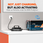 LiTime 36 Volt (43.8V) 25A LiFePO4 IP65 Waterproof Charger