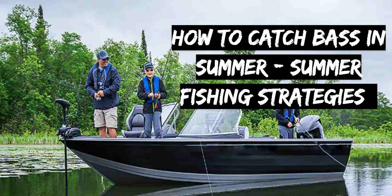 How to Catch Bass in Summer