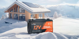 LiTime Self-Heating and Low-Temperature Protection Series