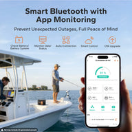 monitorting litime 12v 100ah group 24 marine cranking battery​ by bluetooth app
