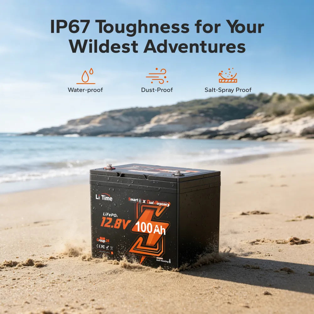 LiTime 12V 100Ah Group 24 Self-Heating Dual Purpose Marine Starting Battery