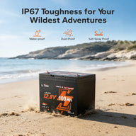 litime 12v 100ah group 24 marine starting battery​ designed Ip67 for wildest adventures