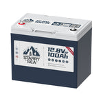 LiTime Starry Sea 12V 100Ah group 24 bluetooth battery with self heating function