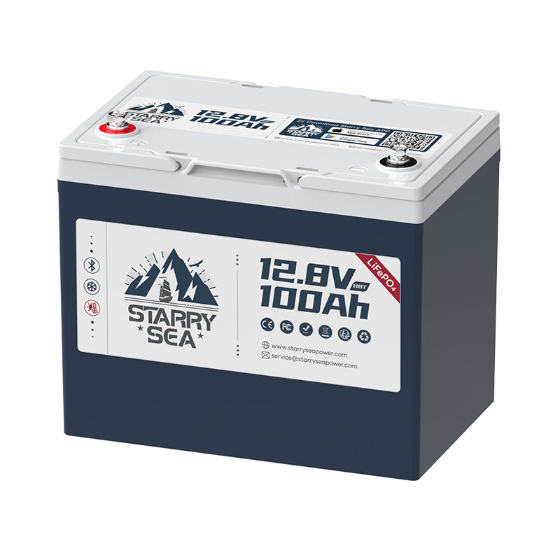 LiTime Starry Sea 12V 100Ah group 24 bluetooth battery with self heating function