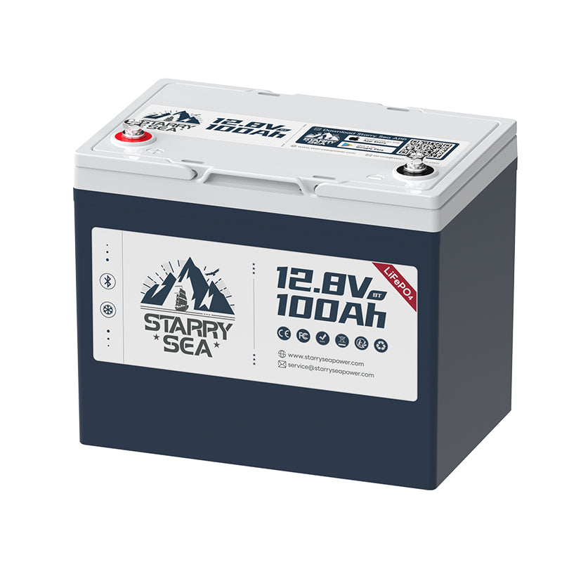 LiTime Starry Sea 12V 100Ah group 24 bluetooth battery