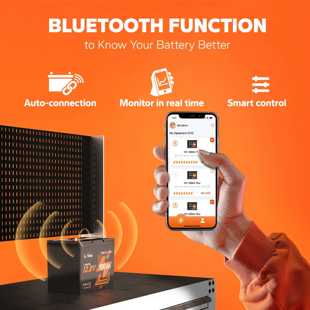 bluetooth group 24 deep cycle battery