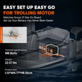 dimension information of litime 12 volt 100ah trolling motor battery plus -group 31 size