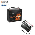12V 100Ah mini LiFePO4 lithium battery with smart bluetooth+12V 10A waterproof charger