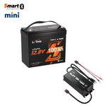12V 100Ah mini LiFePO4 lithium battery with smart bluetooth+12V 10A waterproof charger