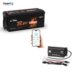 24 Volt 100Ah bluetooth lithium battery kit with 24V 20A lifepo4 battery charger