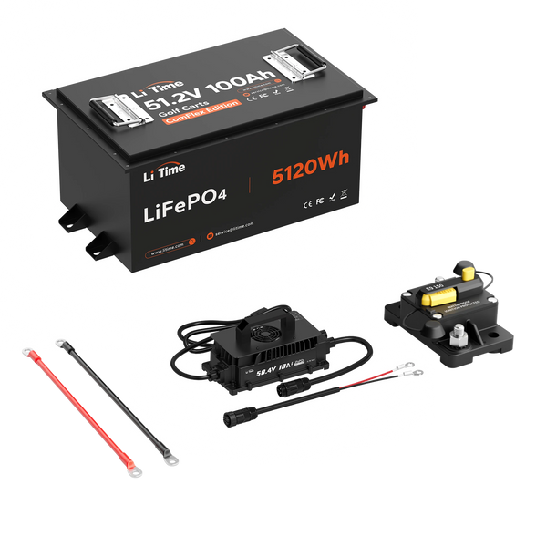 LiTime 48V 100Ah Golf Cart Metal Case Lithium Battery - 200A BMS & Real-Time Monitoring