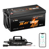 litime Best 36V lithium battery for golf cart with charge and bluetooth monitor