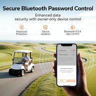 litime Best 36V lithium battery for golf cart with bluetooth