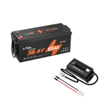 litime 36V 60Ah Golf Cart kit: battery +38.4V 18A battery Charger