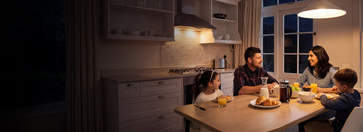 LiTime Lares Plug-In Home Backup