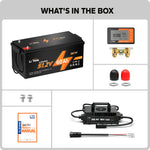 48V 60Ah battery + monitor + 18A charger