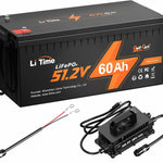 48V 60Ah battery + 18A charger