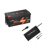 litime 48v lithium Golf cart battery kit - battery+58.4V 10A charger