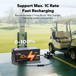 charging time of litime 48v 60ah lithium golf cart battery, solar panel and lifepo4 charger