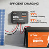 solar system with litime 60 amp solar charge controller