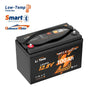 LiTime 12V100Ah deep cycle marine battery