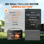 beneftis of litime 12v 100ah trolling motor LiFePO4 battery over lead acid  
