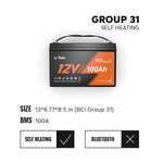 LiTime 12V 100Ah LiFePO4 battery with self-heating, 100A BMS, compact group 31 size , no bluetooth