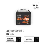 LiTime 12V 100Ah mini smart LiFePO4 battery: 10.24x5.24x8.96in, 100A BMS, Bluetooth & low-temp protection