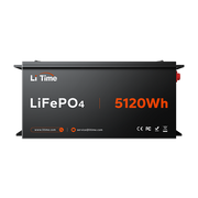 LiTime 48V 100Ah 5120wh Golf Cart Metal Case Lithium Battery