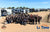 A large group of RVers in matching shirts waves for a photo in front of their rigs at the Romp It Up Music Festival