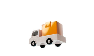 LiTime Free Shipping and Fast Delivery