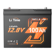 overview of litime 12v 100ah group 24 bluetooth lifepo4 lithium battery