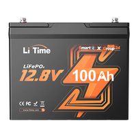 overview of litime 12v 100ah group 24 bluetooth lifepo4 lithium battery