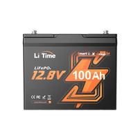 overview of litime 12v 100ah group 24 lithium bluetooth lifepo4 lithium battery