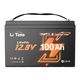 overview of litime 12v 100ah outboard motor group 31 marine lithium battery