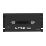litime 12v 60a lifepo4 lithium battery charger