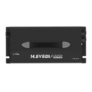 litime 12v 60a lifepo4 lithium battery charger