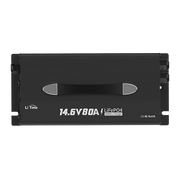 litime 12v 80a lifepo4 battery charger