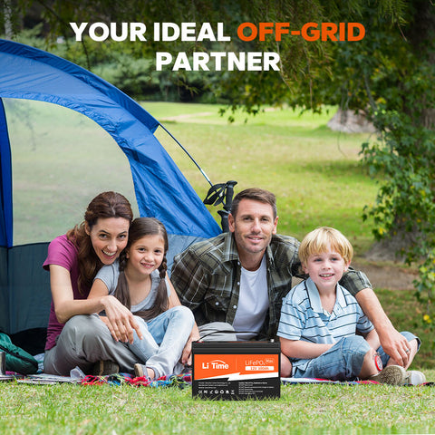 LiTime 12.8V 100Ah Max LiFePO4 Lithium Battery, Built-in 150A BMS, 1280Wh Energy, 1920W Load Power