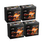 LiTime 12V 100Ah Xtra-Mini 4 pack