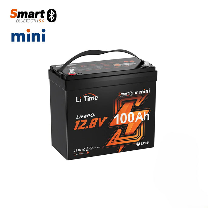 overview of 12V 100Ah mini LiFePO4 lithium battery