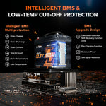 Smart BMS with protections, low-temp cutoff, IP65 weatherproof for LiTime Mini 12.8V 100Ah Bluetooth lithium battery