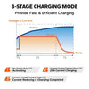 LiTime  12V (14.6V) 20A LiFePO4 Charger – For 12V LiFePO4 Batteries