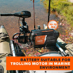 LiTime 12V 230Ah Plus LiFePO4 Battery, Built-in 200A BMS, Max 2944Wh Energy - LiTime