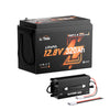litime 12v 320ah self heating lithium battery and litime 12v 60a charger