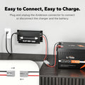 connection guide of litime 12v 40a lithium battery charger with anderson plug