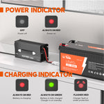 LED indicators feature of litime 60a battery charger for 12v lifepo4 battery showing charging status